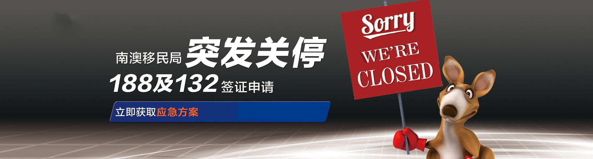 九游娱乐，30年专业沉淀，为您的海外梦想保驾护航，从签证申请到安家落户，全程无忧