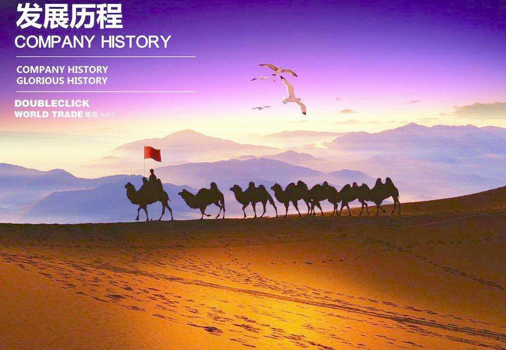 发展历程(图1)