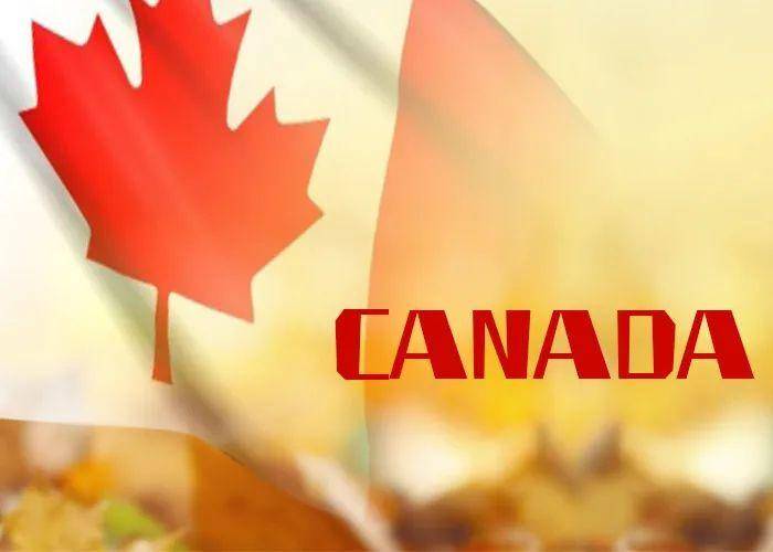 2024年哪些国家容易移民？全球移民政策真实盘点(图2)