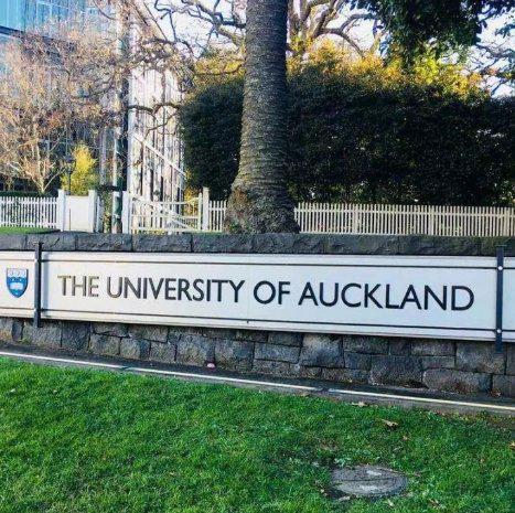 性价比之王！这四个国家留学性价比高到爆！(图11)