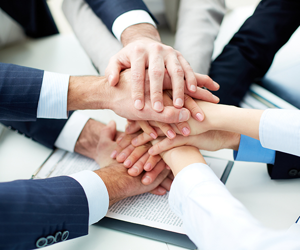 九游娱乐：澳德华移民顾问24小时为您服务(图5)