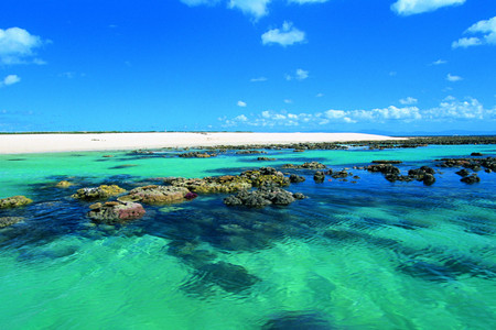 九游娱乐文化：盘点各国移民新政策为了揽才提高门槛该如何抉择(图2)