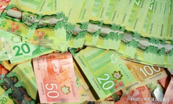 九游娱乐：加拿大移民政策篇l2024全球最受富豪欢迎移民地出炉！加拿大第4(图1)