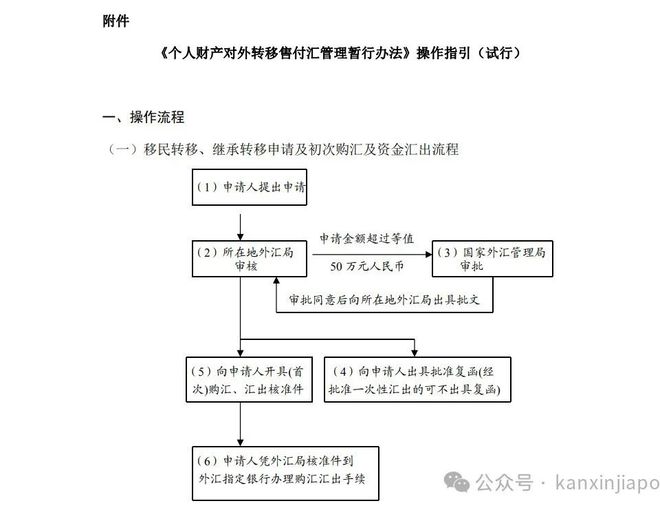 中国人移民后可以将国内资产全部合法转移到新加坡吗？(图2)