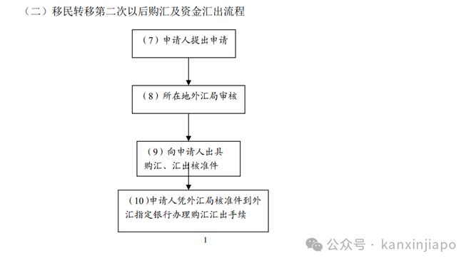 中国人移民后可以将国内资产全部合法转移到新加坡吗？(图3)