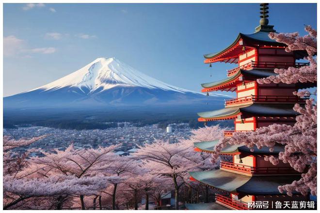 移民这两个发达国家的中国人吃大亏了！(图8)