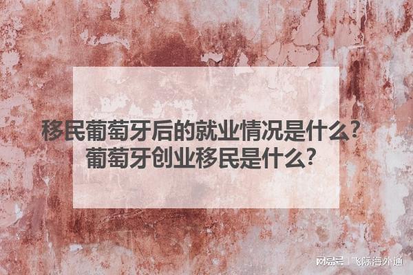 移民葡萄牙后的就业情况是什么？葡萄牙创业移民是什么？(图1)