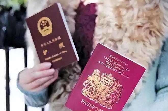 九游娱乐：撕毁中国护照在美国当非法移民的华人被遣返后下场如何？(图5)