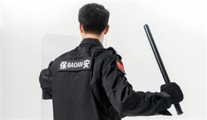 中国移民中介行业市场分析与发展前景预测(图2)