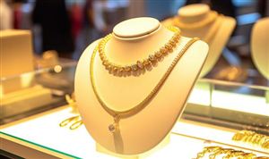 中国移民中介行业市场分析与发展前景预测(图5)