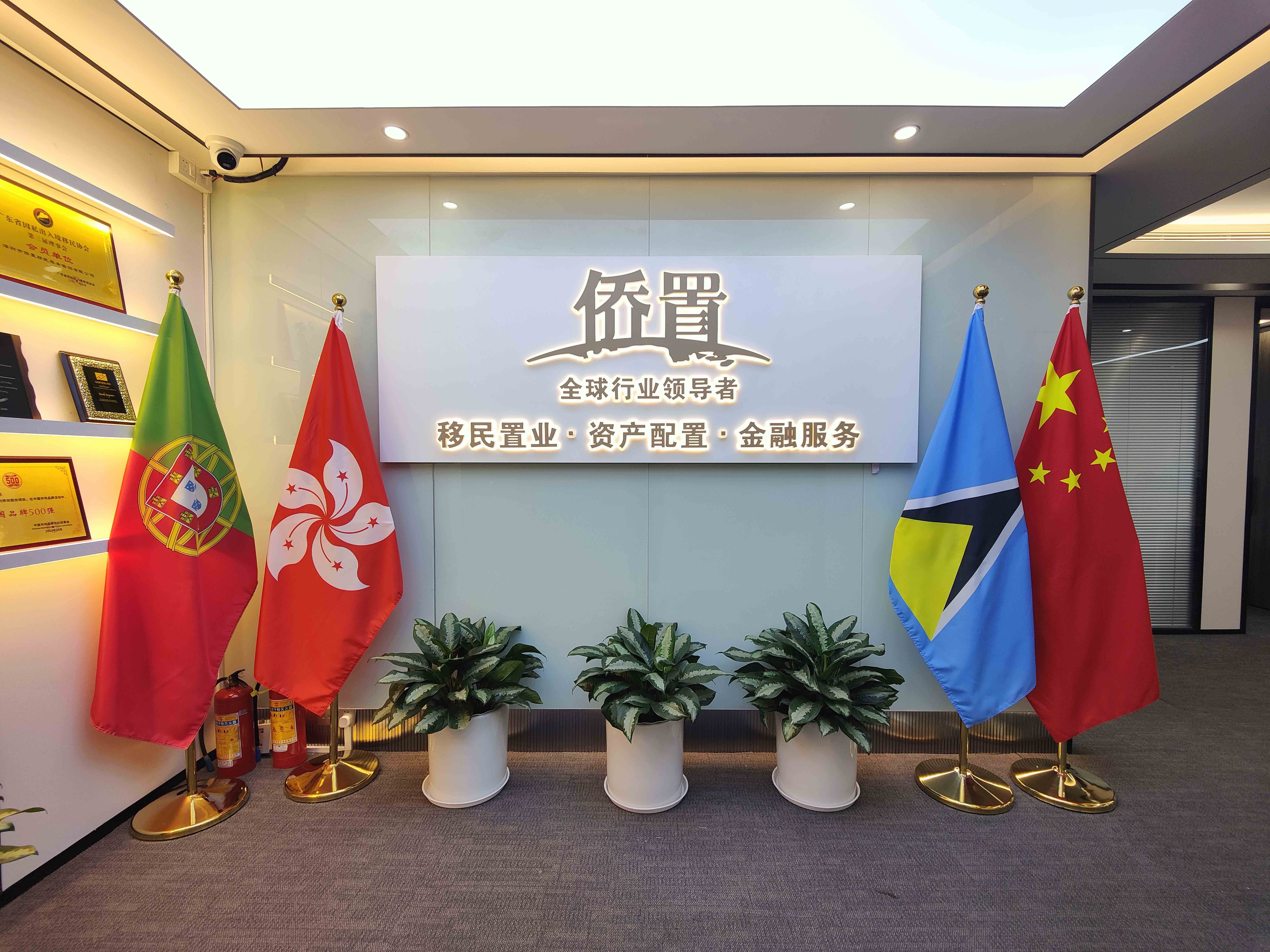 九游娱乐：侨置移民：精准定制服务助力客户实现移民梦想(图2)