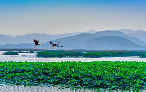 千年古县｜东平：水泊梁山发源地全国第二移民大县(图4)