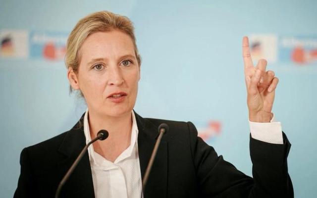 德国“第二个默克尔”冒头魏德尔亮对华政策比朔尔茨更识时务(图3)