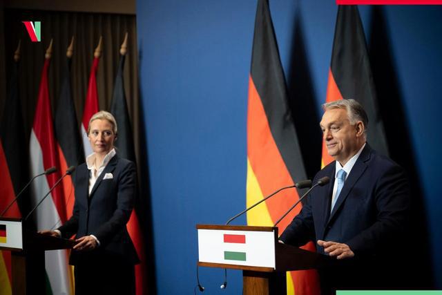 德国“第二个默克尔”冒头魏德尔亮对华政策比朔尔茨更识时务(图5)