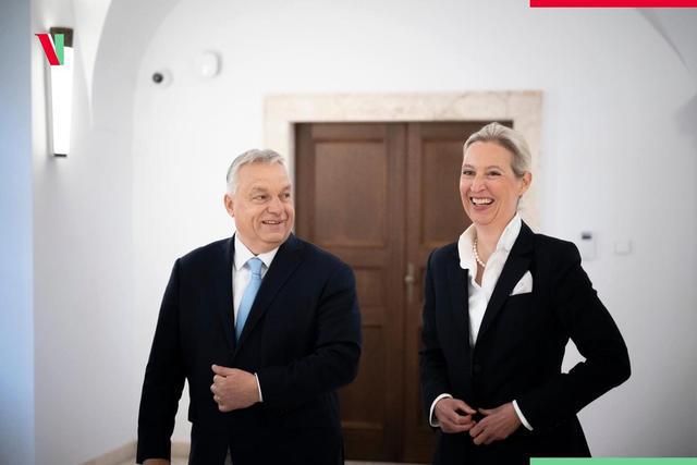 德国“第二个默克尔”冒头魏德尔亮对华政策比朔尔茨更识时务(图6)