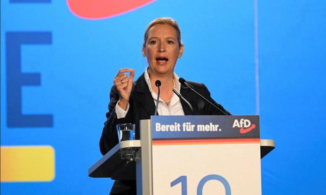 德国“第二个默克尔”冒头魏德尔亮对华政策比朔尔茨更识时务(图7)