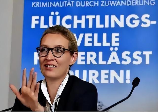 德国“第二个默克尔”冒头魏德尔亮对华政策比朔尔茨更识时务(图13)