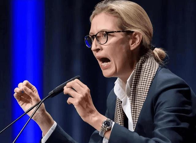 德国“第二个默克尔”冒头魏德尔亮对华政策比朔尔茨更识时务(图15)