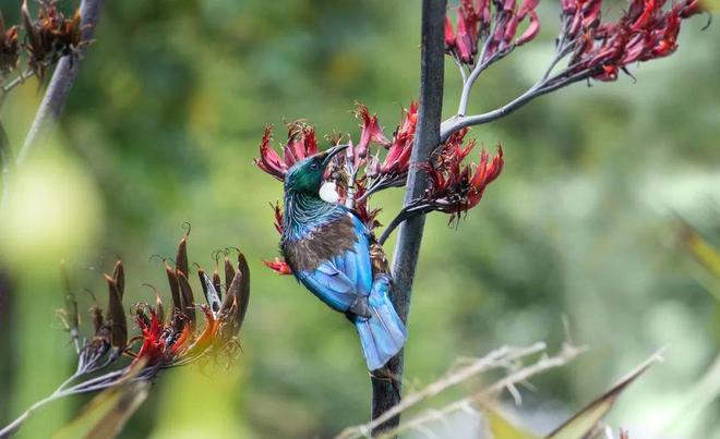 九游娱乐文化：世界幸福国家榜单出炉：新西兰第10！中国人幸福感全球最高！(图22)