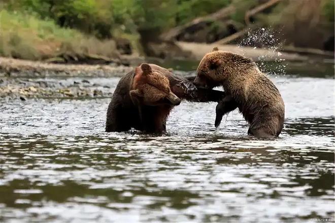 九游娱乐文化：中国最难办签证国家欢迎全国各地人却唯独对中国人“严苛”？(图2)