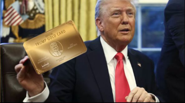 九游娱乐：昨天最新移民新政来了！500万就拿美国升级版绿卡新加坡身份还吃香吗？(图3)