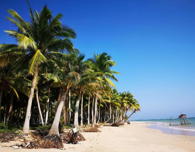 逃离俄罗斯？每年上万俄国移民涌入中国黑河早市已成跨国食堂(图3)