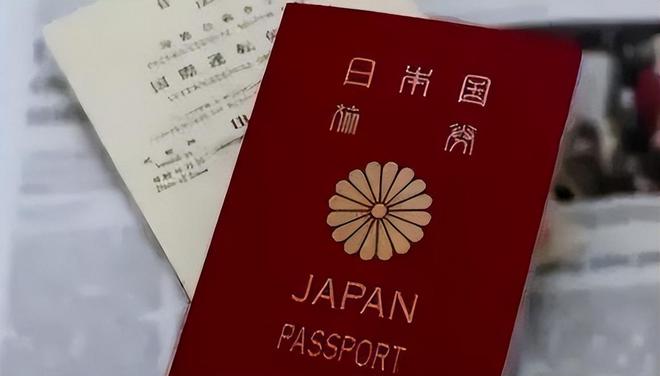 浪子回头金不换？百万日籍华人想要回国呼吁政府接纳他们(图4)