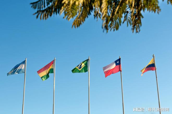 移民新大陆？!仅8万人民币可跳板美国！(图4)