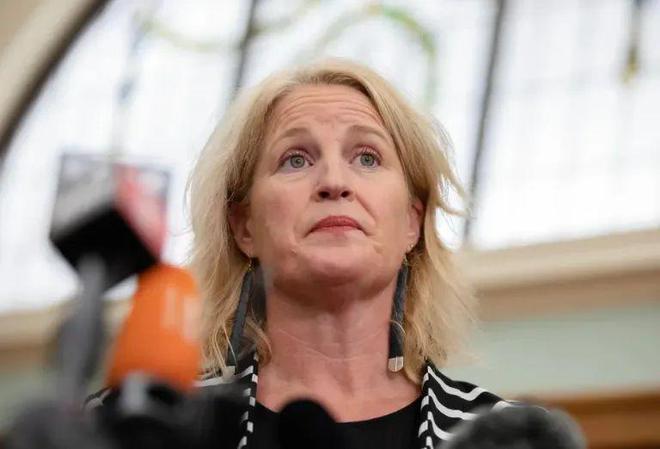 最新：中国人来新西兰即将“出优惠”！是否对中国免签已明确(图6)