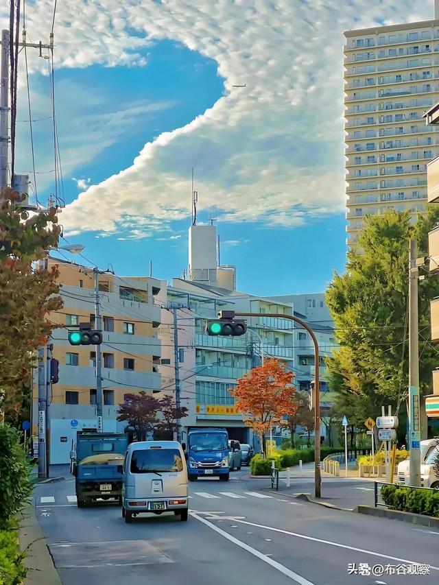 九游娱乐：日本非移民国家为何吸引众多中国人移民？(图4)