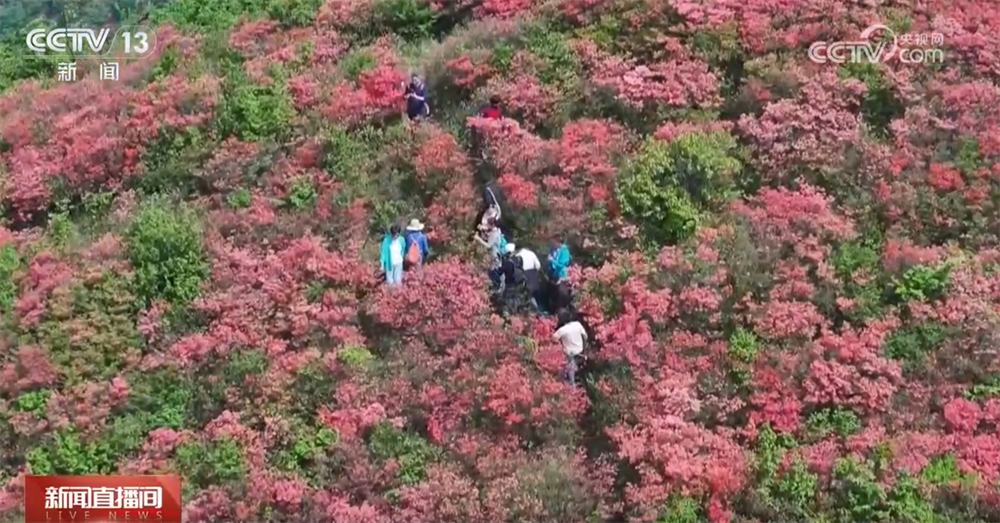 “五一”假期旅游火热、人气旺这份“出行宝典”请收藏↓(图3)