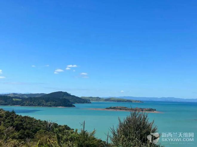 突发：多国宣布收紧移民！NZ新总理首次谈移民政策！华人痛斥：“我被抛弃了！”(图2)