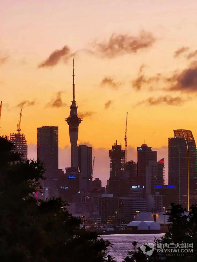 突发：多国宣布收紧移民！NZ新总理首次谈移民政策！华人痛斥：“我被抛弃了！”(图10)