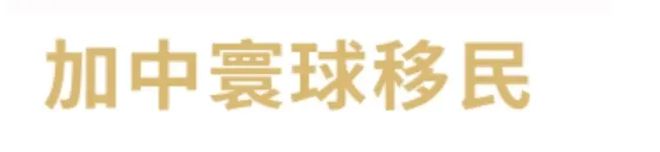 九游娱乐：2025中国十大移民公司排行榜前十移民公司盘点(图9)