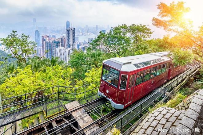 九游娱乐文化：香港身份2025最新香港居留政策更新！普通人拿身份的5种方式(图15)