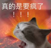 OPT要没了？美国移民局新官即将上任第一刀砍向留学生！(图2)