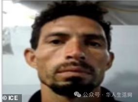 川普政府确认遣返65万人(图8)
