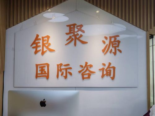 九游娱乐文化：北京银聚源国际咨询：出境服务的贴心伙伴(图1)