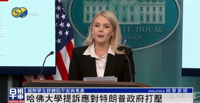 哈佛留学生陷入恐慌：刀落到自己身上才知道疼(图5)