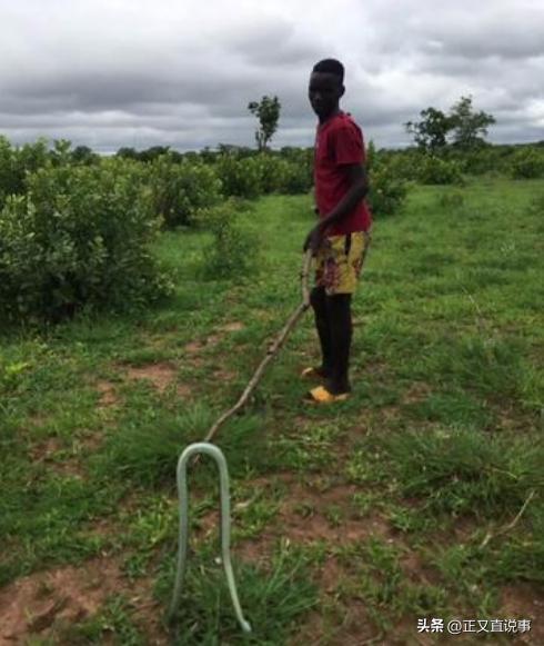 57岁中国女农场主赞比亚遇难黑人雇工成嫌疑人追捕时跳河逃生(图4)