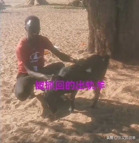 57岁中国女农场主赞比亚遇难黑人雇工成嫌疑人追捕时跳河逃生(图8)