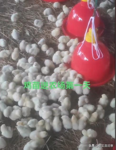 57岁中国女农场主赞比亚遇难黑人雇工成嫌疑人追捕时跳河逃生(图10)