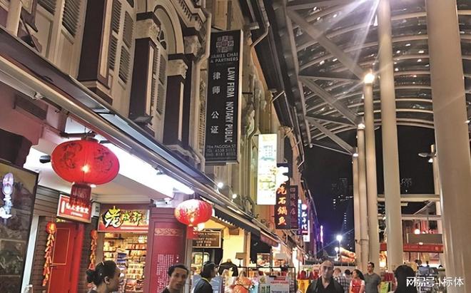 世界华人最多4个国家美国只能排倒数第二第一名华人两遭清洗(图7)