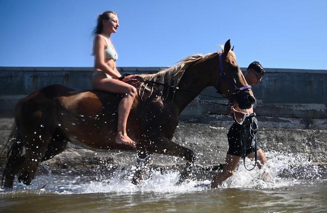 全球最小的发达国家快被中国人“买”下了中国移民占比87%(图5)